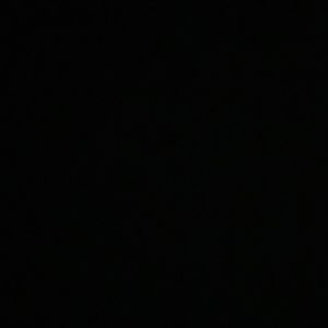 Meet your Posher, Brigitte